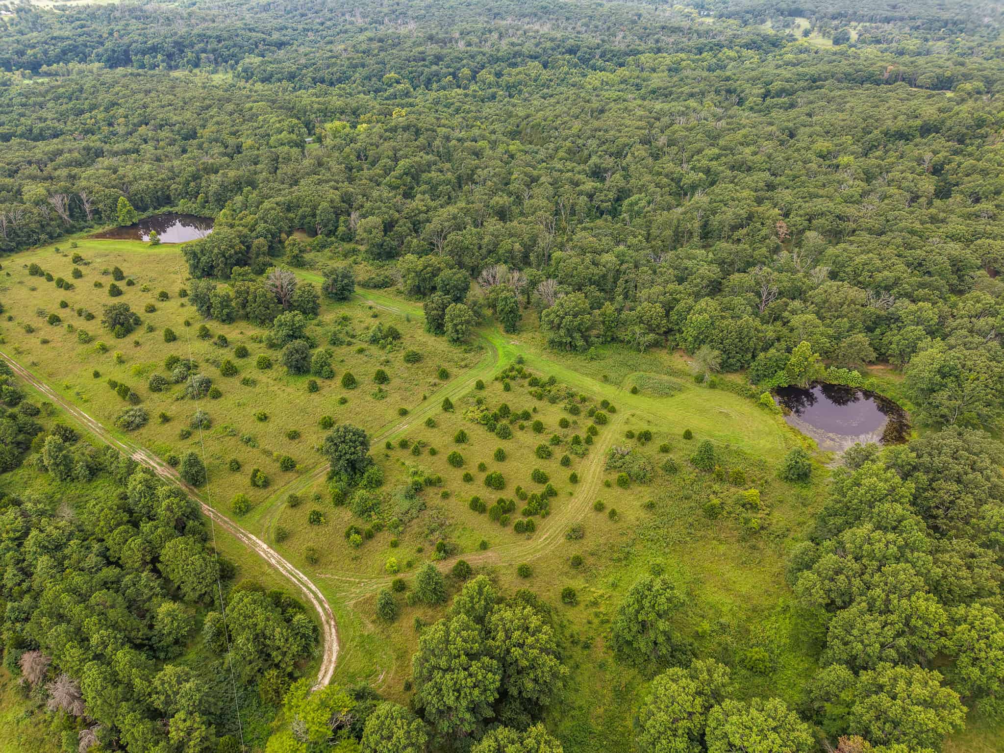Hunting Land for sale in St. Clair County, Missouri