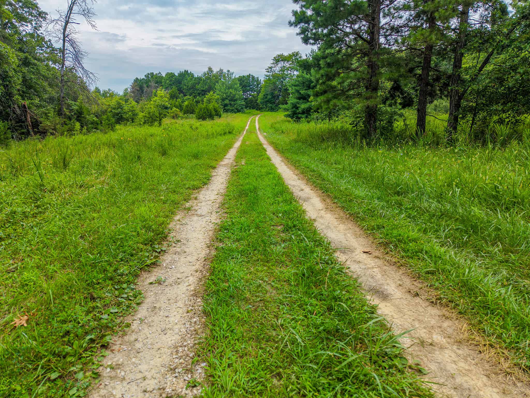 Hunting Land for sale in St. Clair County, Missouri