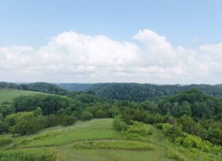 14.21 Acres Driftless Region SW Wisconsin 3-Seasonal Cabins