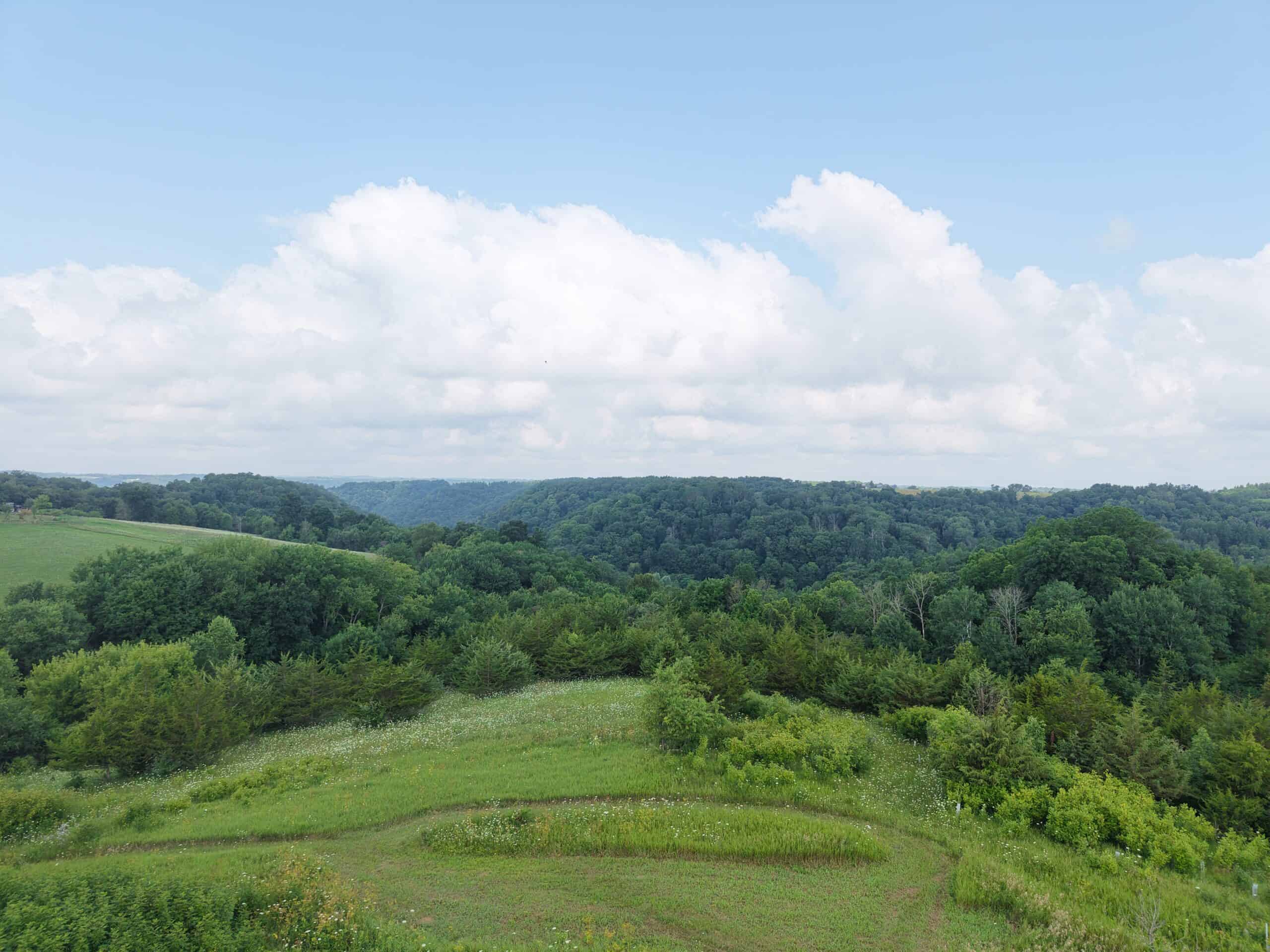 14.21 Acres Driftless Region SW Wisconsin 3-Seasonal Cabins