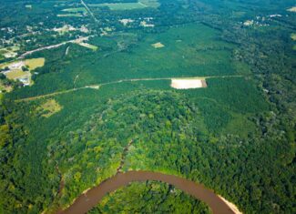 224.56 Acres | Buck Creek 224 | Montezuma, GA