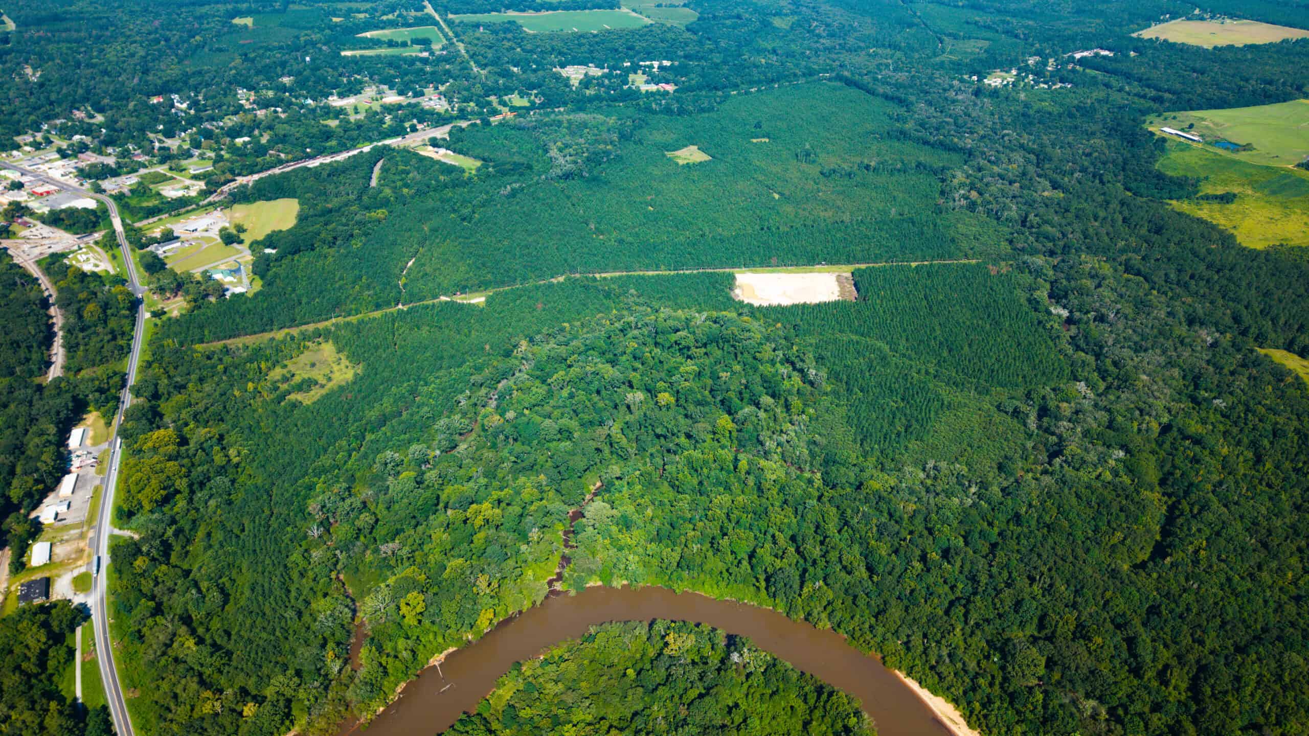 224.56 Acres | Buck Creek 224 | Montezuma, GA