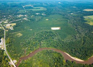 224.56 Acres | Buck Creek 224 | Montezuma, GA