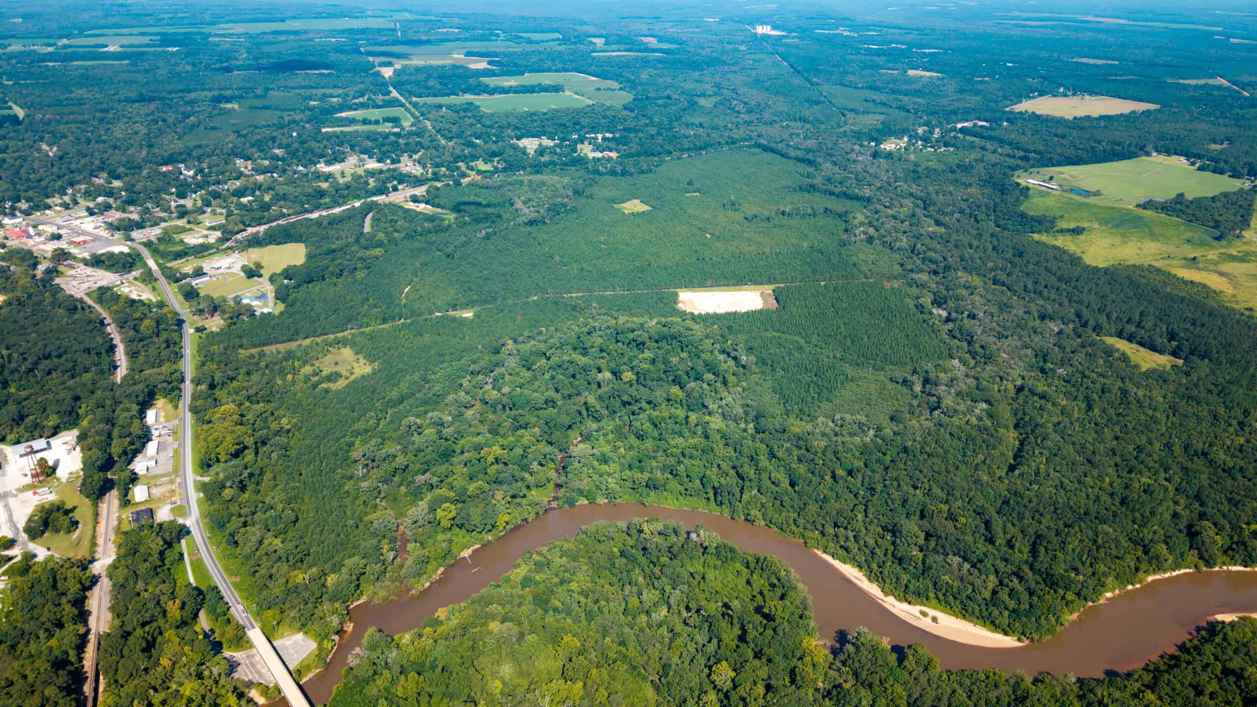 224.56 Acres | Buck Creek 224 | Montezuma, GA