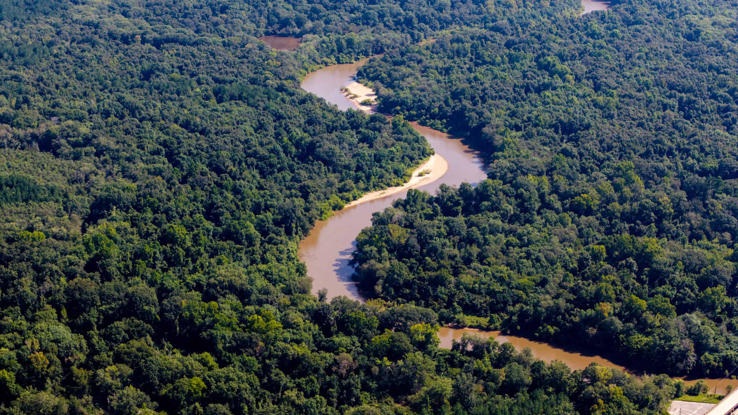 224.56 Acres | Buck Creek 224 | Montezuma, GA