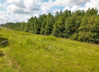 224.56 Acres | Buck Creek 224 | Montezuma, GA