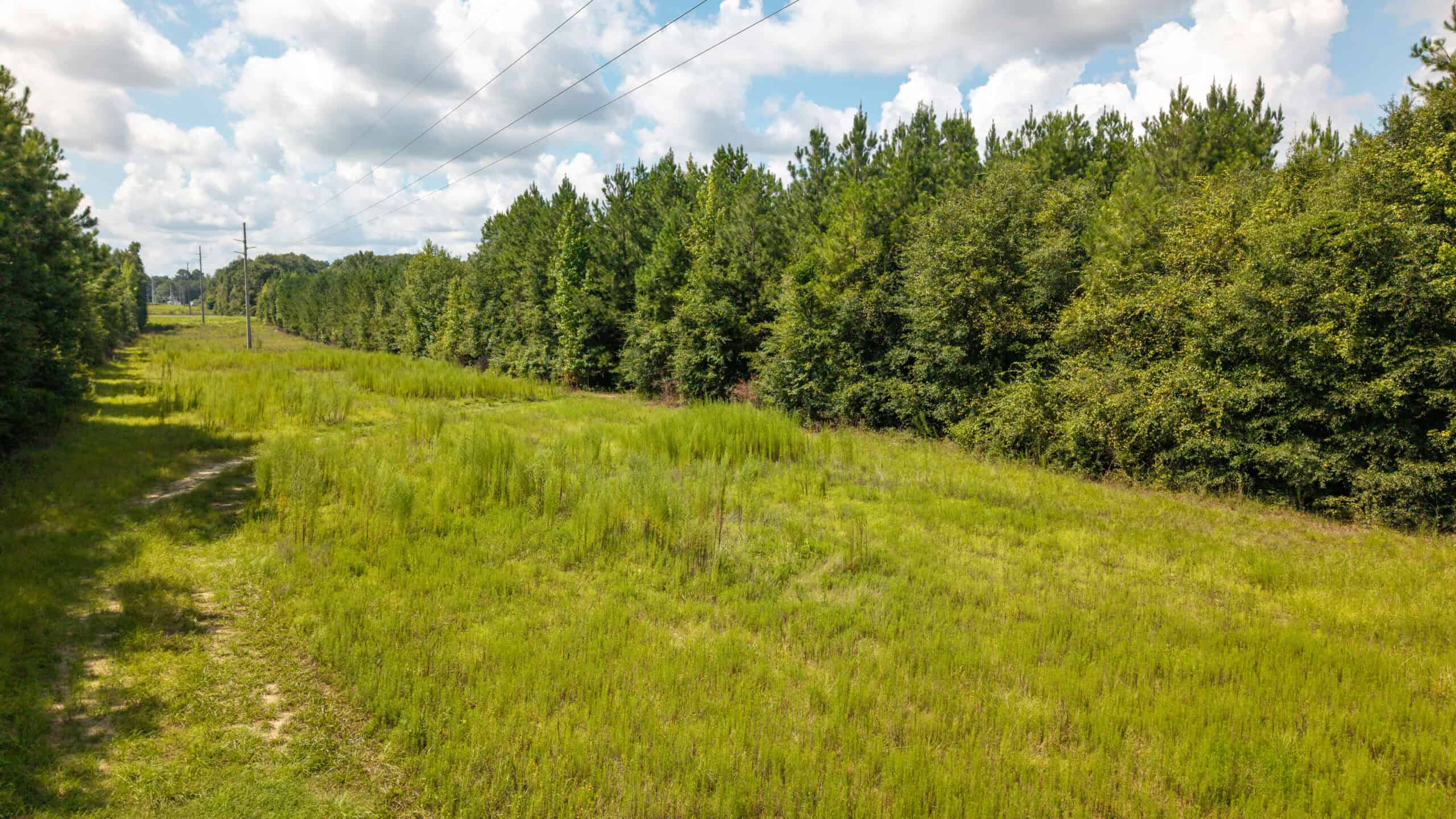 224.56 Acres | Buck Creek 224 | Montezuma, GA