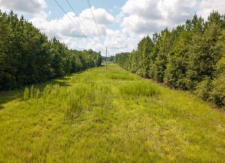 224.56 Acres | Buck Creek 224 | Montezuma, GA