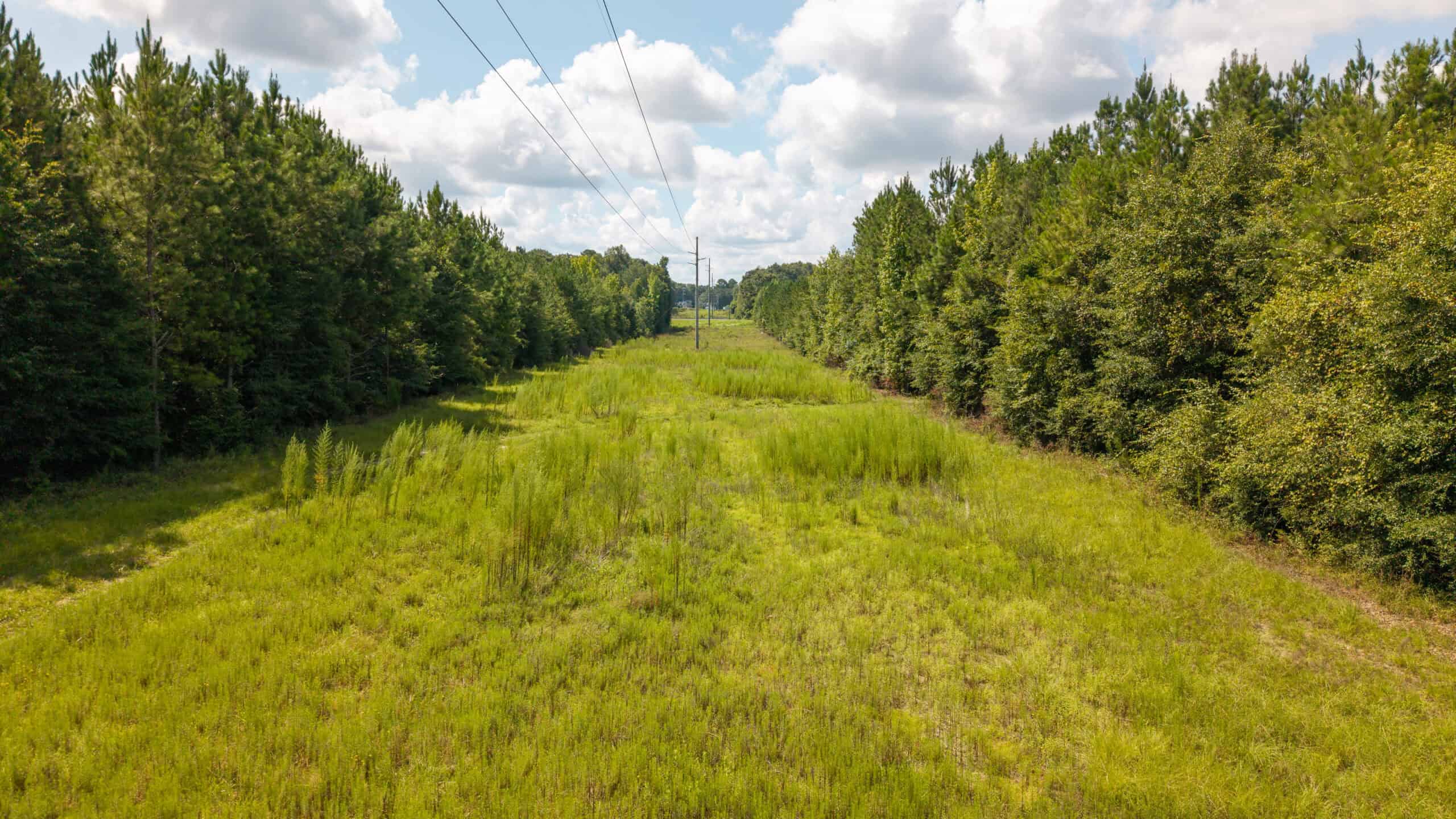 224.56 Acres | Buck Creek 224 | Montezuma, GA