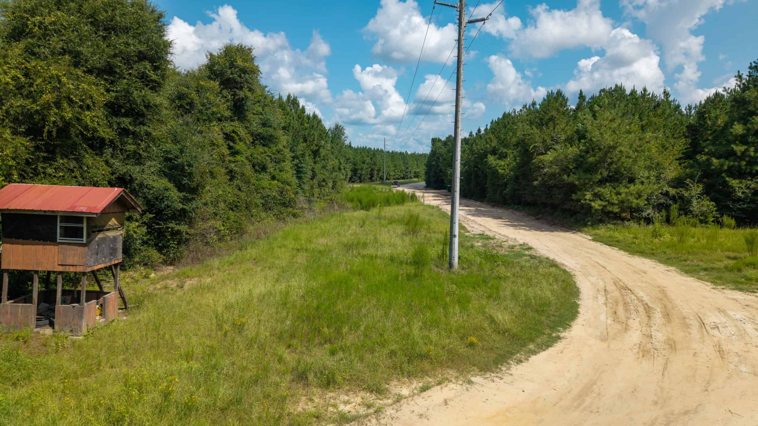 224.56 Acres | Buck Creek 224 | Montezuma, GA