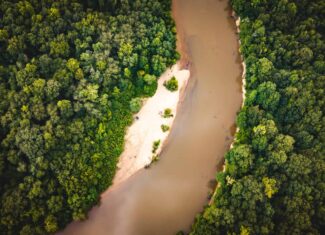 The Sand Bar 77 | 77 Acres | Montezuma, GA