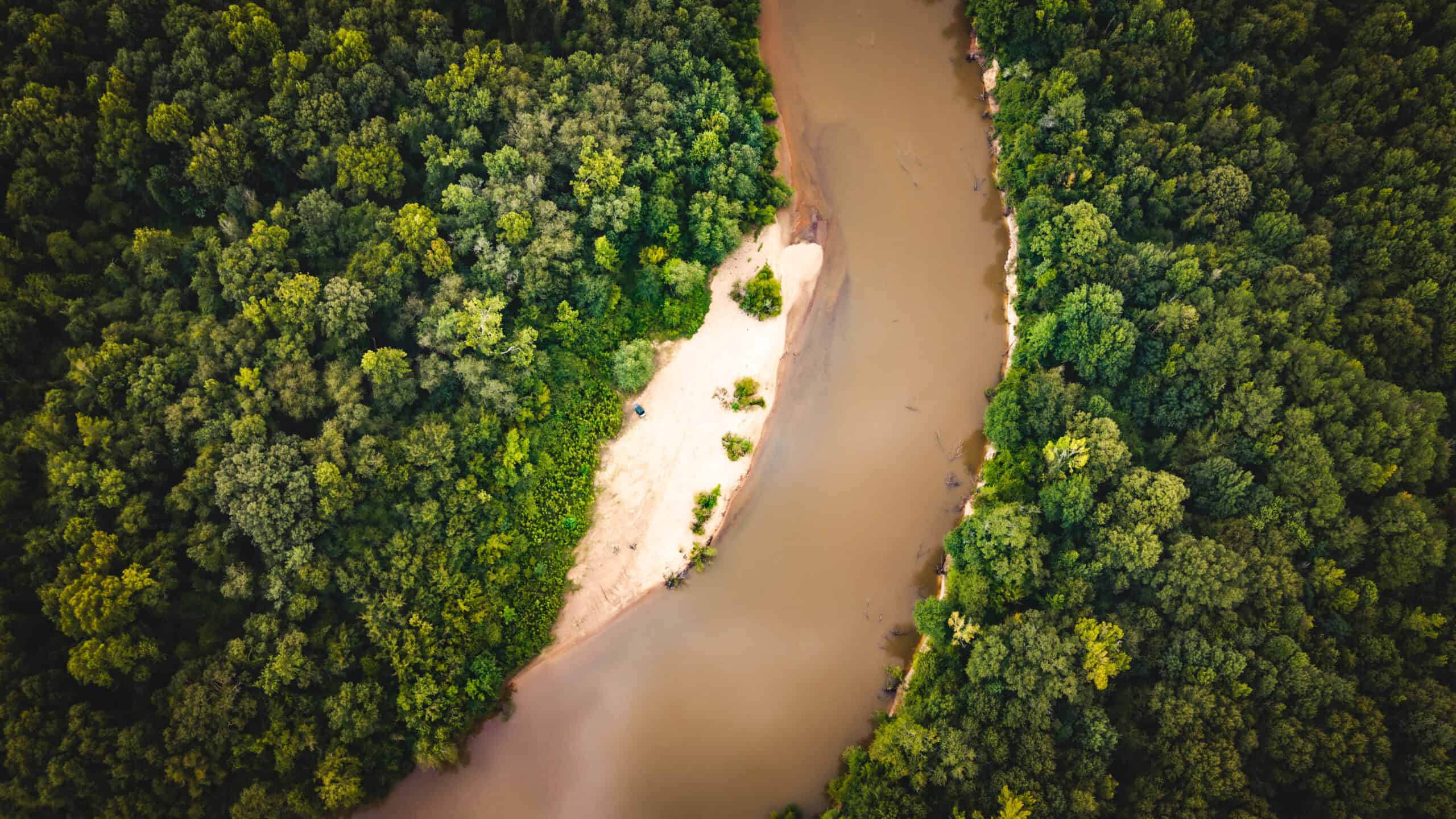 The Sand Bar 77 | 77 Acres | Montezuma, GA