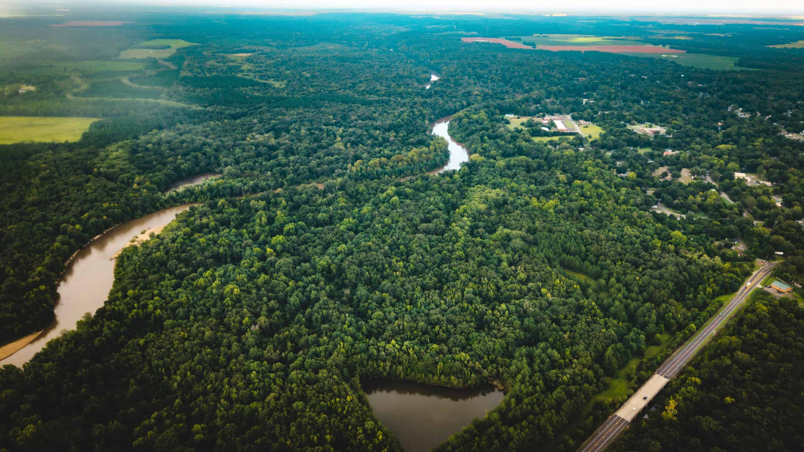 The Sand Bar 77 | 77 Acres | Montezuma, GA