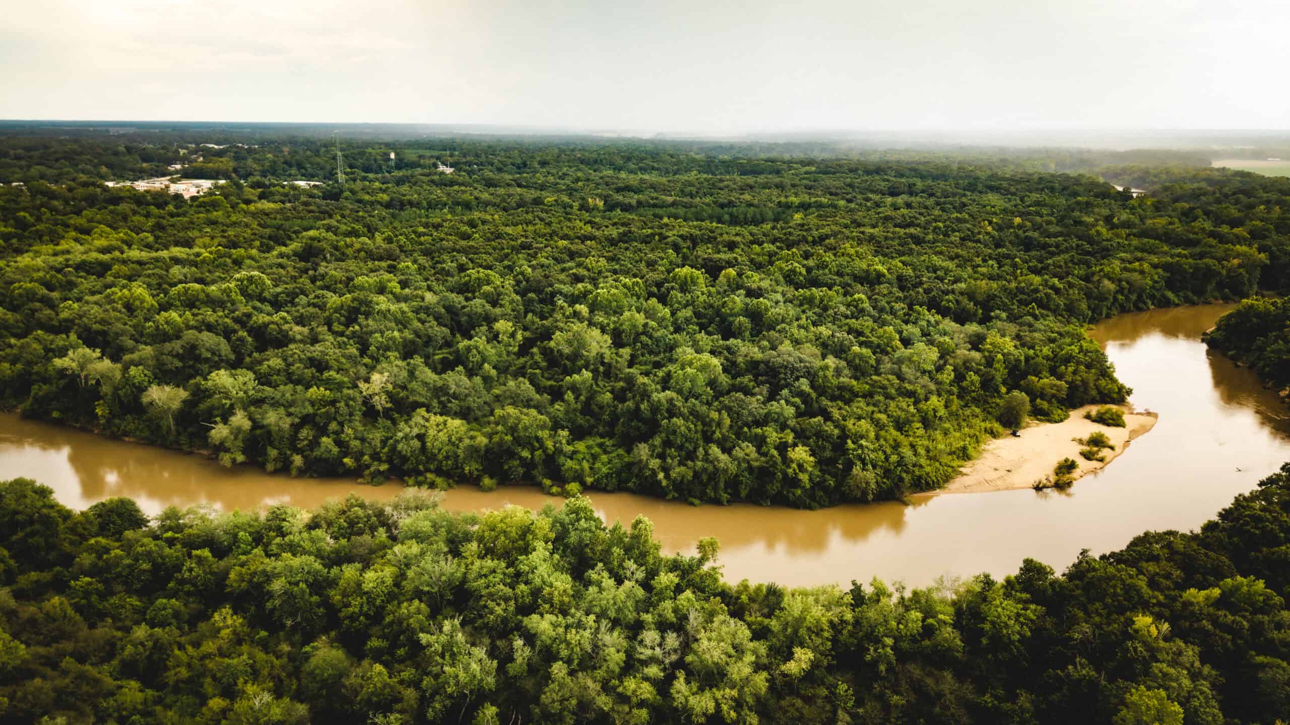 The Sand Bar 77 | 77 Acres | Montezuma, GA