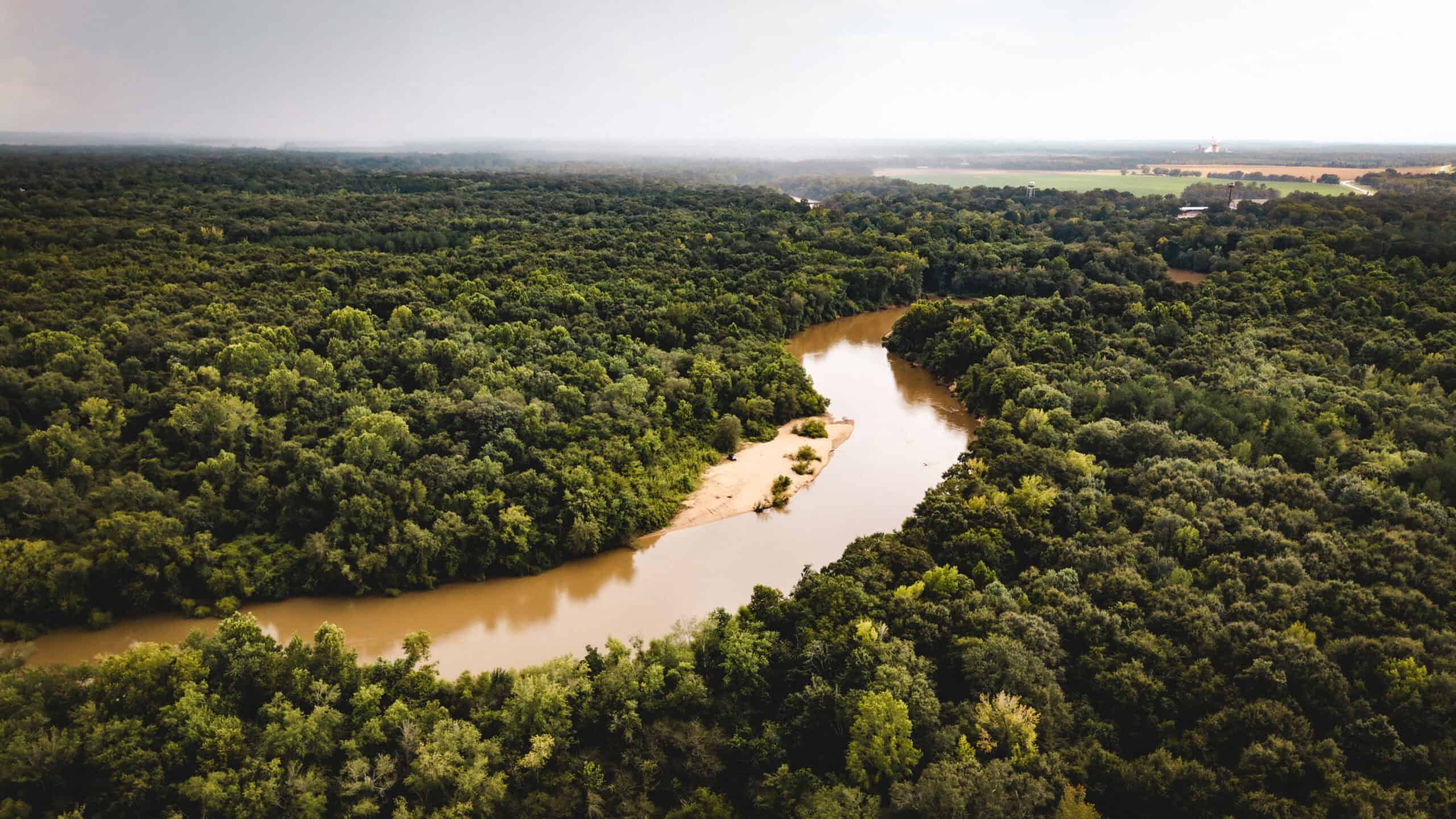 The Sand Bar 77 | 77 Acres | Montezuma, GA