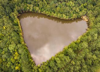 River Trails 127 | 127 Acres | Montezuma, GA