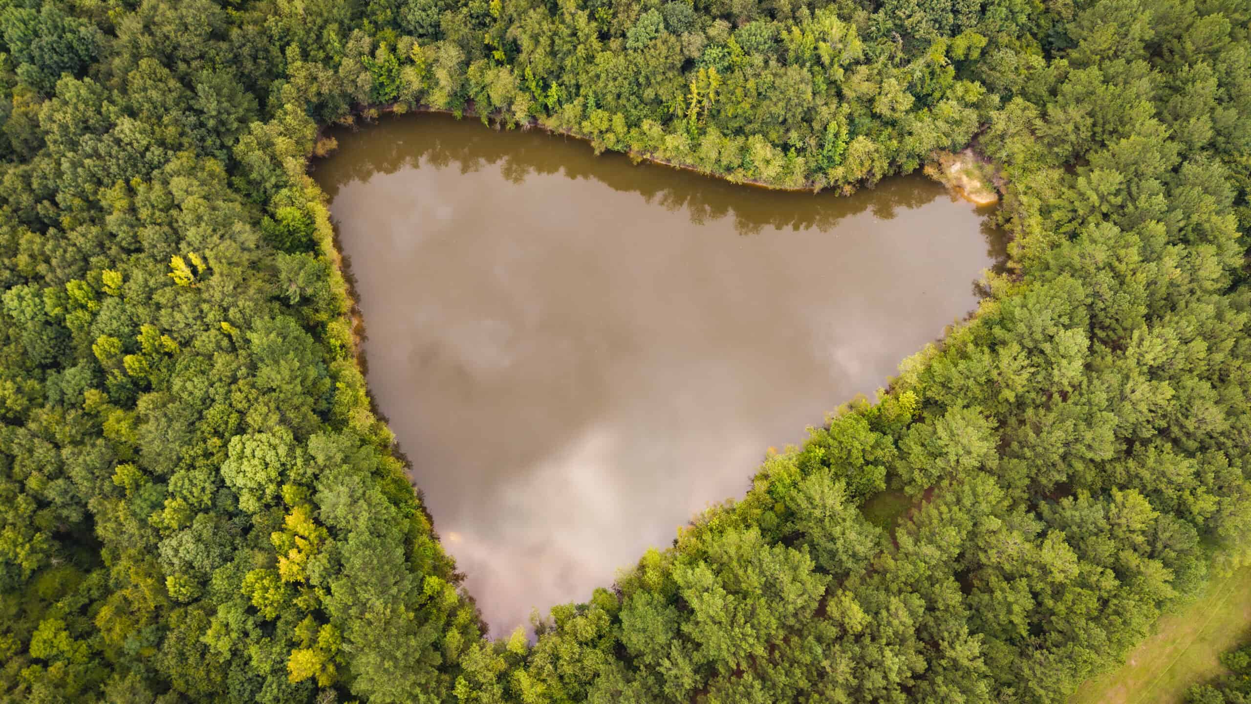 River Trails 127 | 127 Acres | Montezuma, GA
