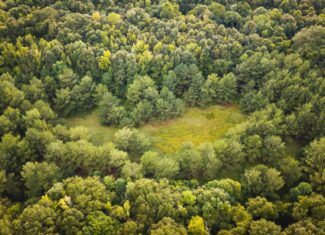 River Trails 127 | 127 Acres | Montezuma, GA