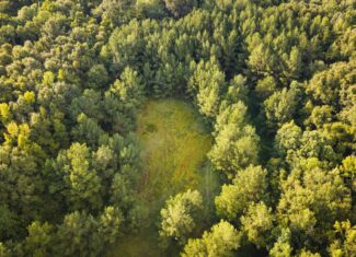 River Trails 127 | 127 Acres | Montezuma, GA