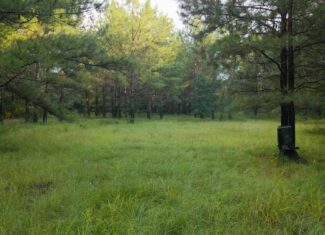 River Trails 127 | 127 Acres | Montezuma, GA