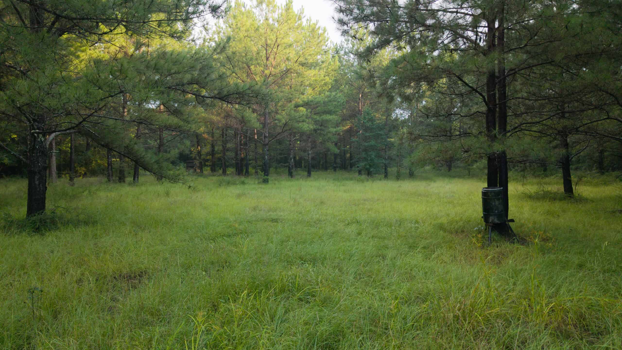 River Trails 127 | 127 Acres | Montezuma, GA