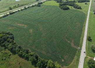 40 Acres Row Crop Farm/Building Site