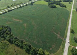 32 Acres of Productive Farmland Just North of Bethany, MO