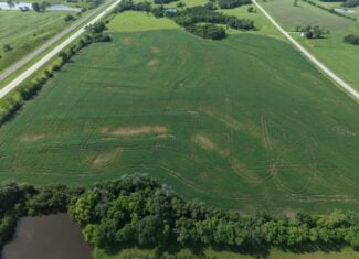 40 Acres Row Crop Farm/Building Site