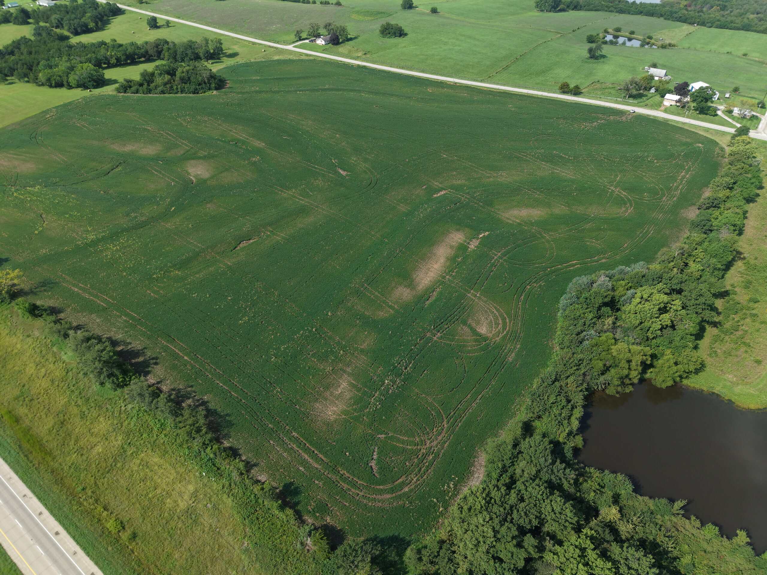 40 Acres Row Crop Farm/Building Site