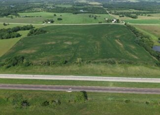 40 Acres Row Crop Farm/Building Site