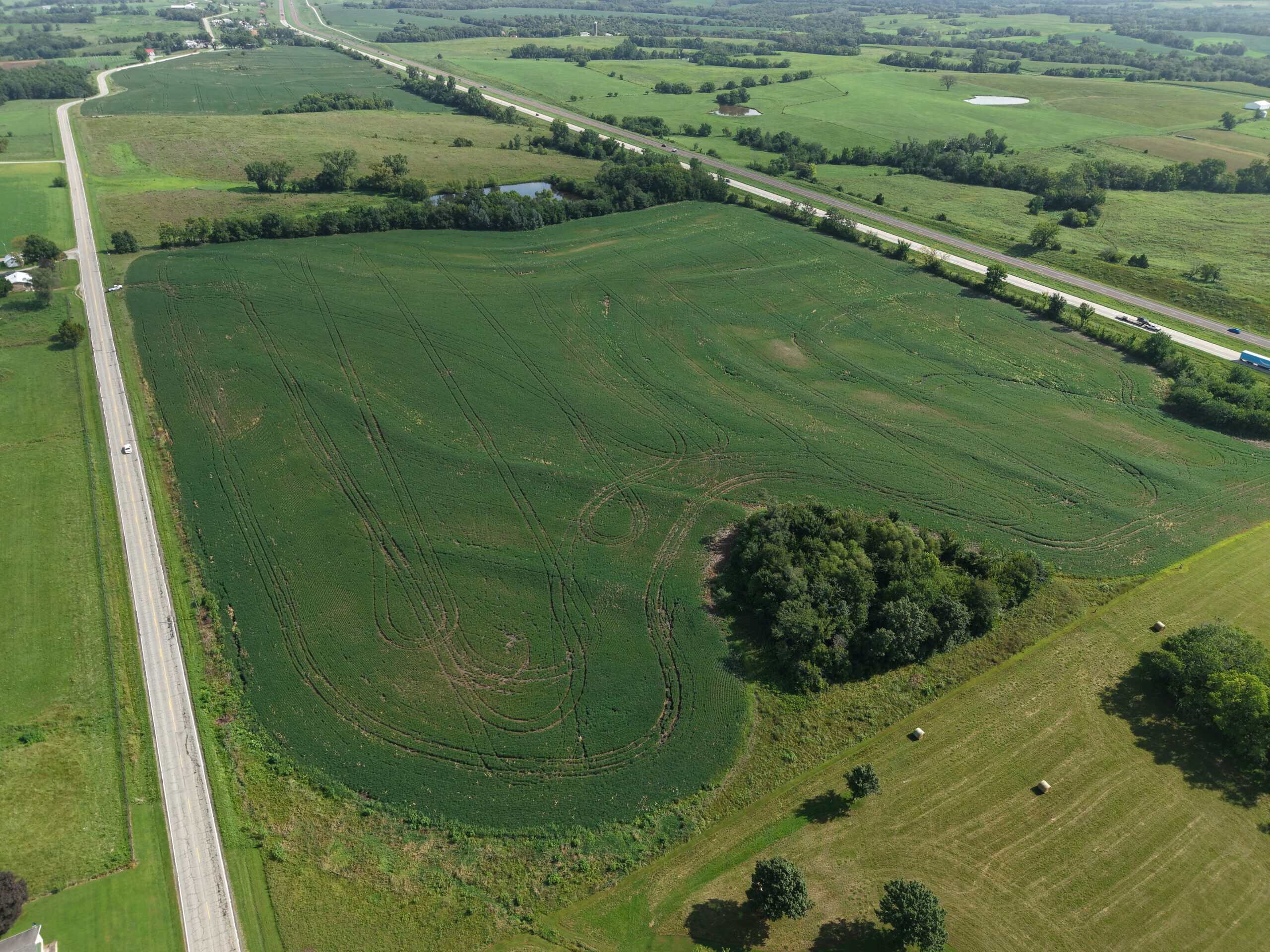 40 Acres Row Crop Farm/Building Site