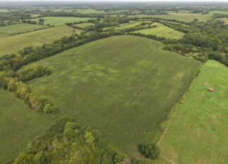 Land for Sale – 32.5 Acres near Denver, MO
