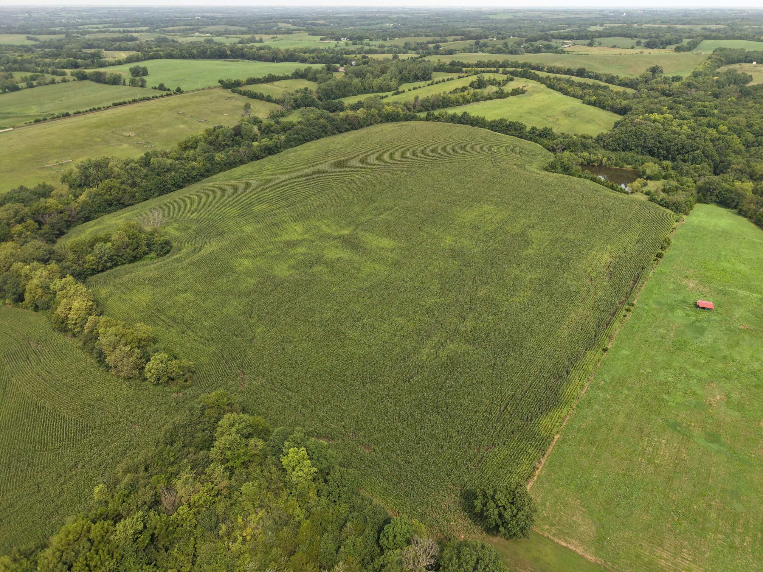 Land for Sale – 32.5 Acres near Denver, MO