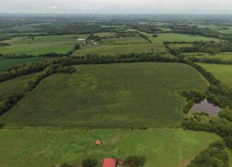 Land for Sale – 32.5 Acres near Denver, MO