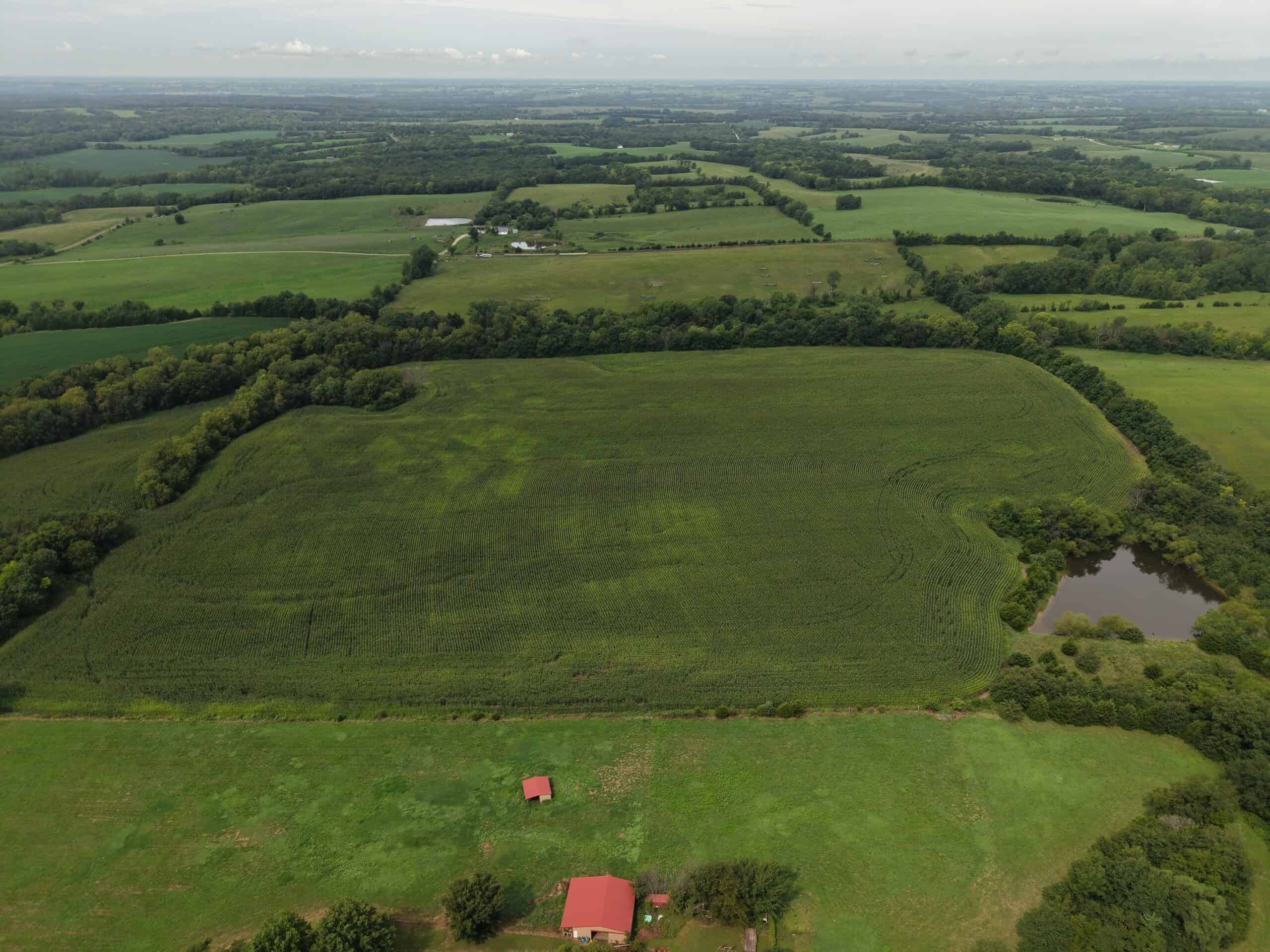 Land for Sale – 32.5 Acres near Denver, MO