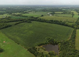 Land for Sale – 32.5 Acres near Denver, MO