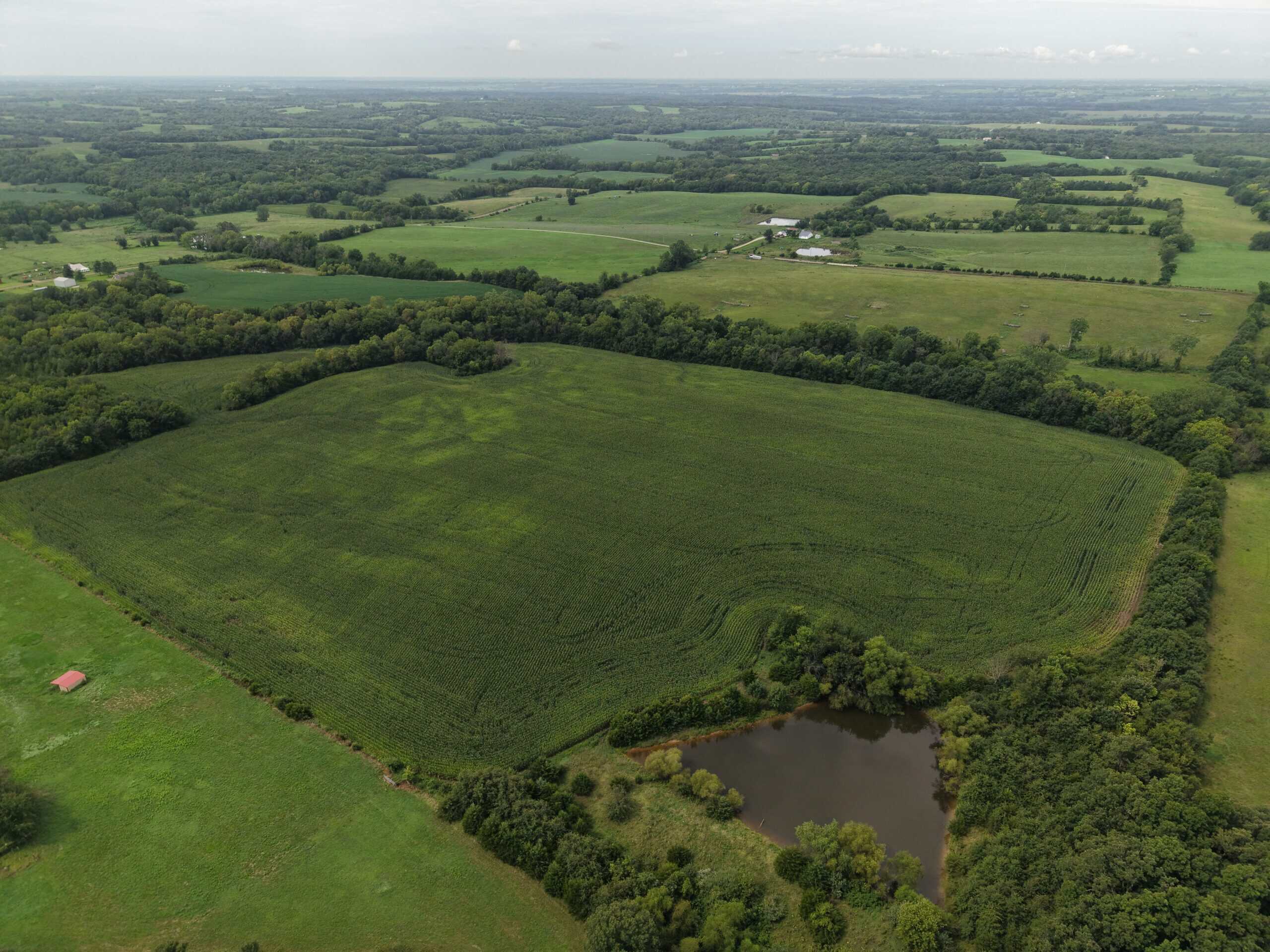 Land for Sale – 32.5 Acres near Denver, MO