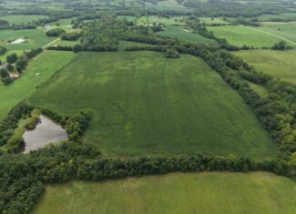 Land for Sale – 32.5 Acres near Denver, MO