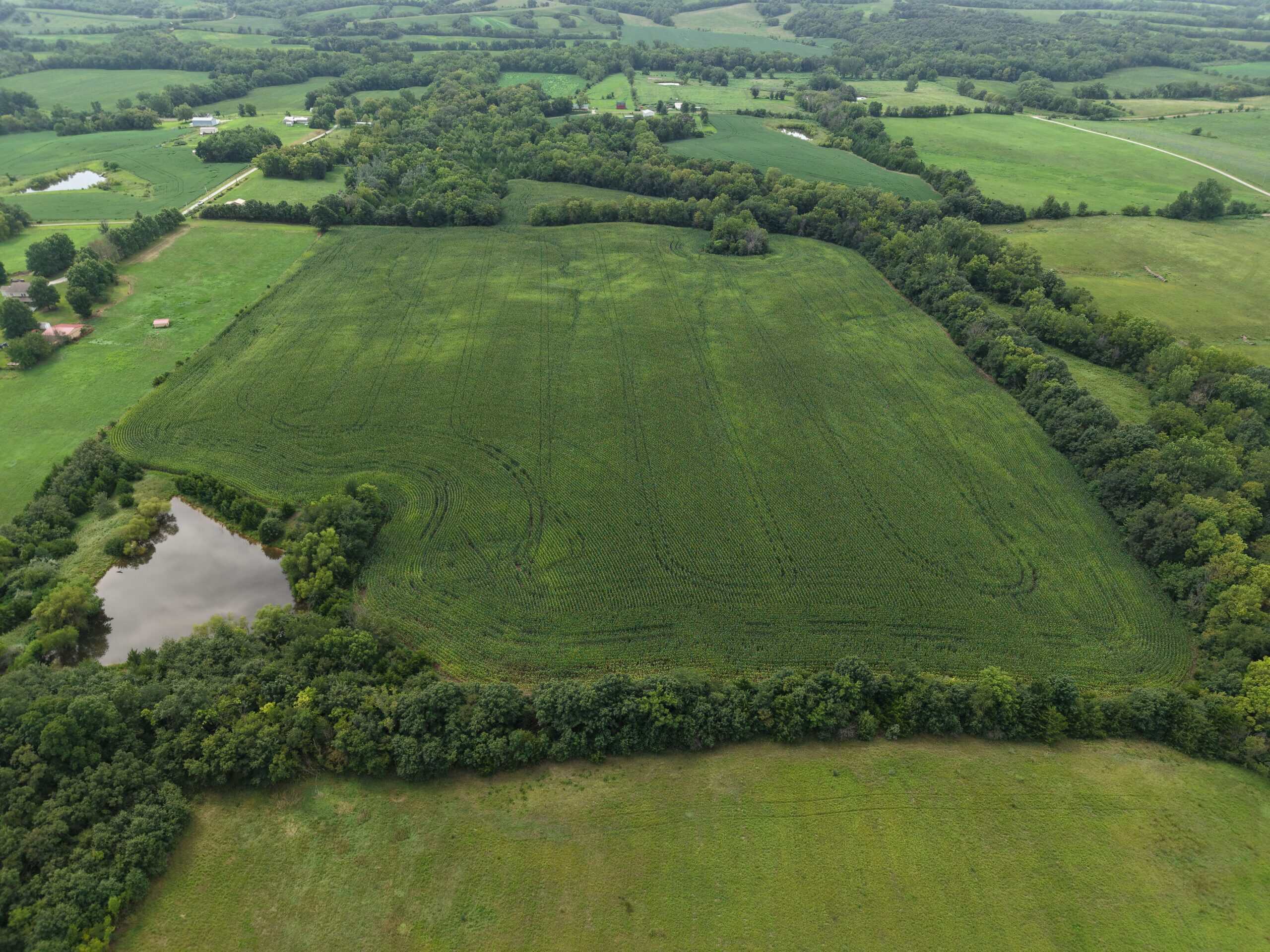 Land for Sale – 32.5 Acres near Denver, MO
