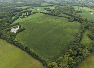 Land for Sale – 32.5 Acres near Denver, MO