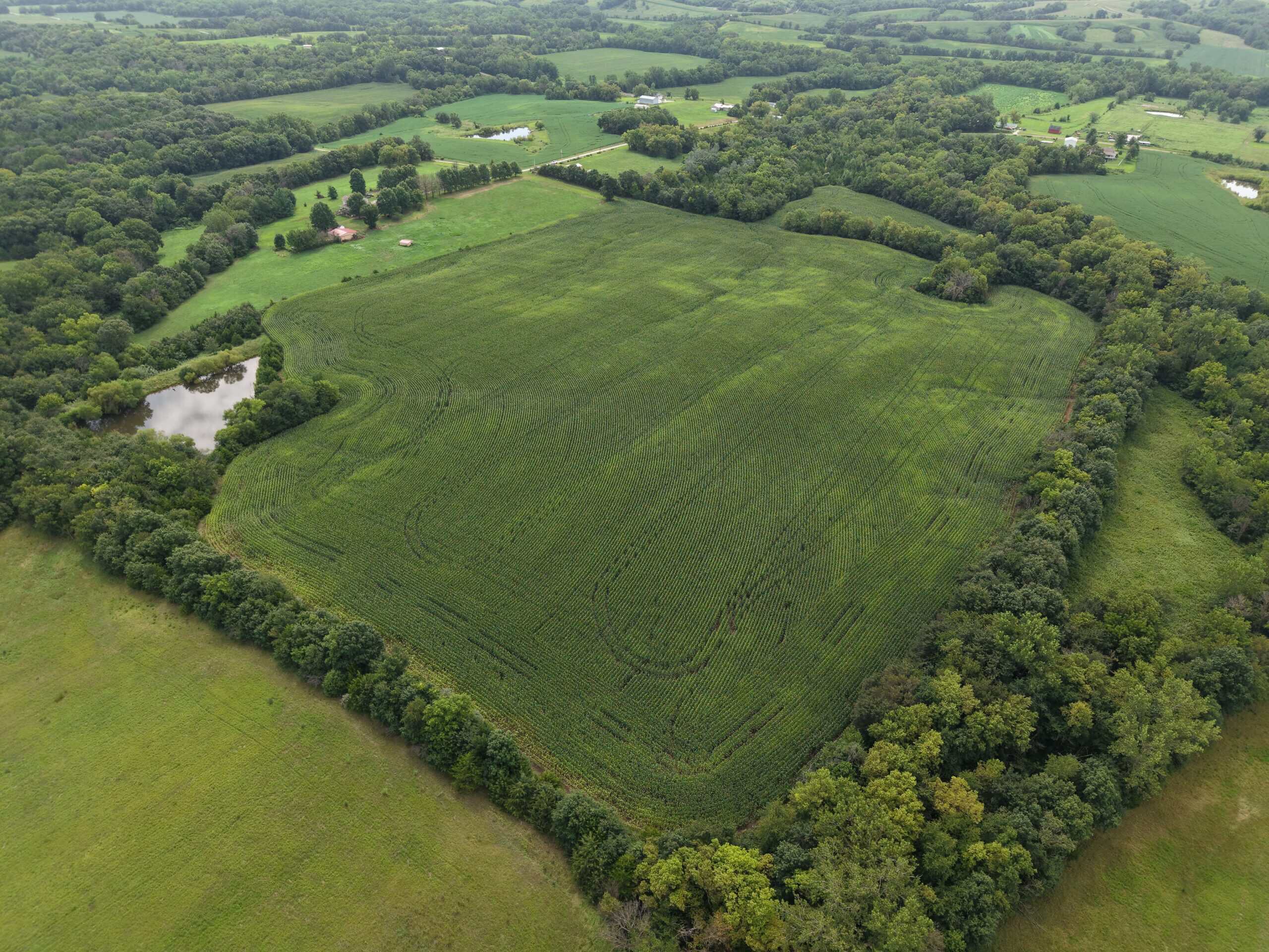 Land for Sale – 32.5 Acres near Denver, MO