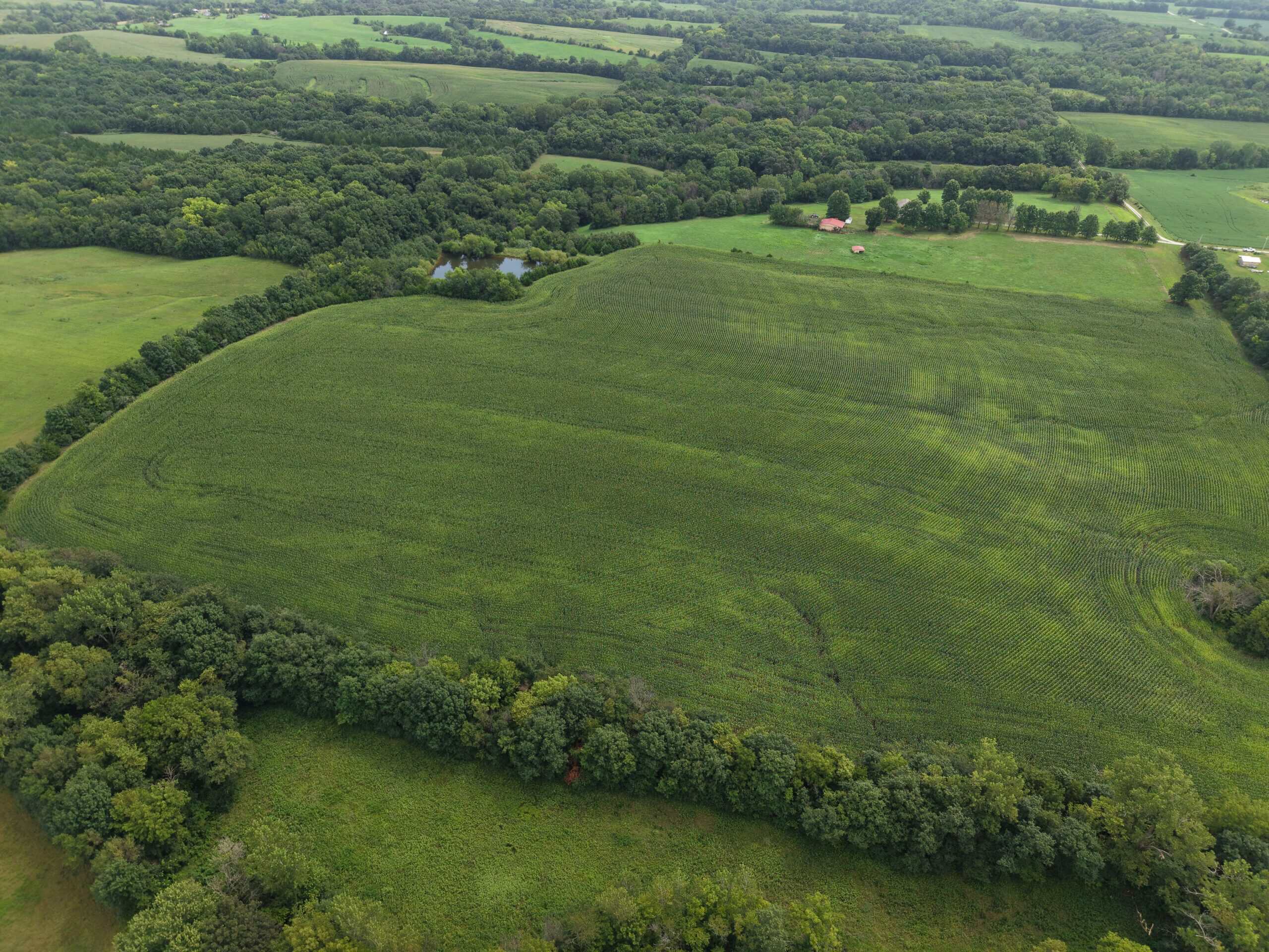 Land for Sale – 32.5 Acres near Denver, MO