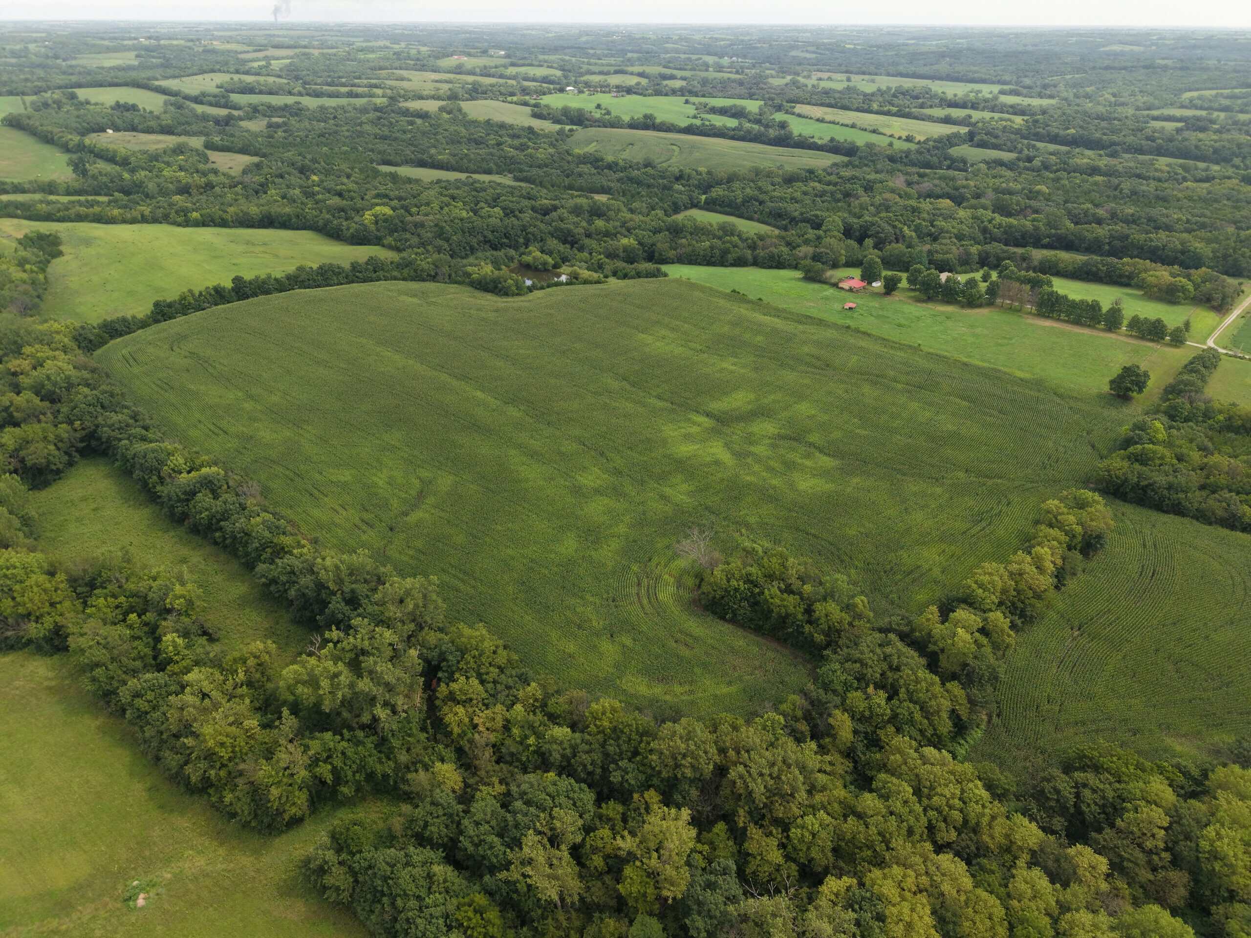 Land for Sale – 32.5 Acres near Denver, MO
