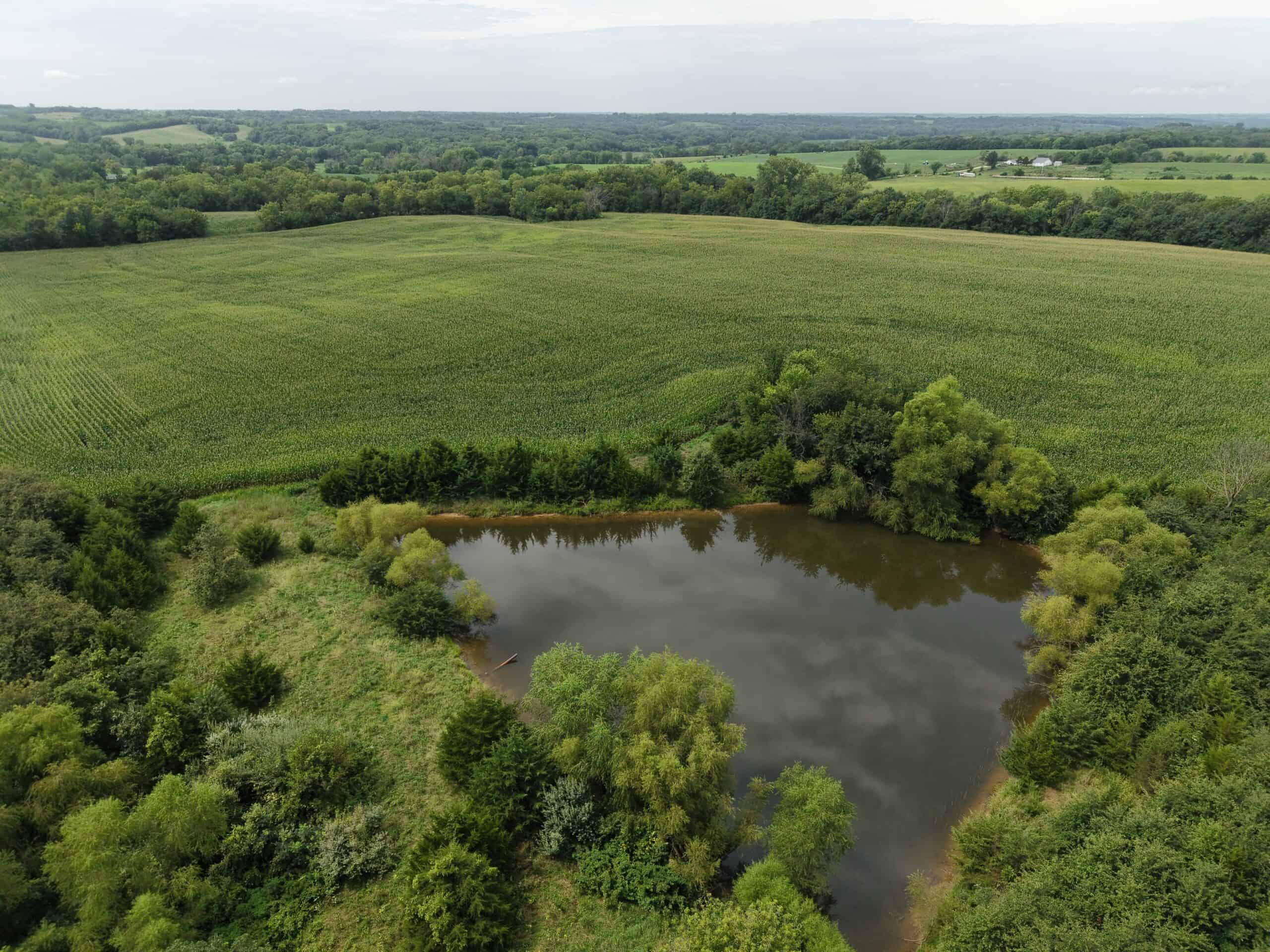Land for Sale – 32.5 Acres near Denver, MO