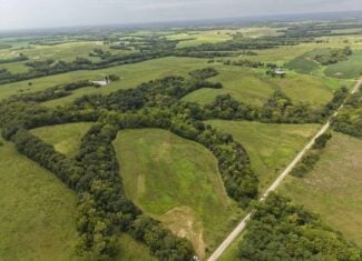 40 Acre m/l Hunting Tract near McFall, MO
