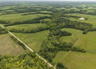 40 Acre m/l Hunting Tract near McFall, MO