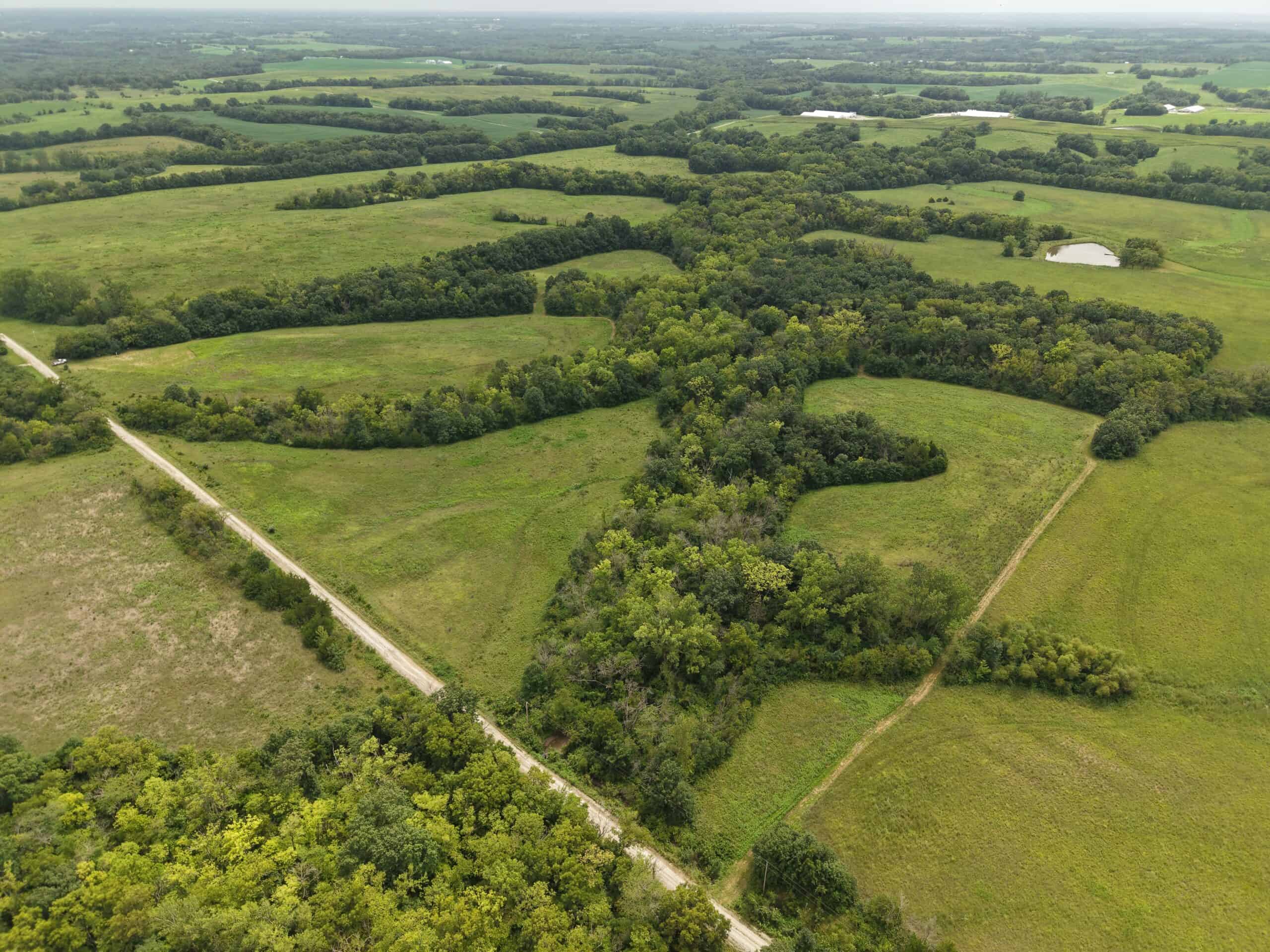 40 Acre m/l Hunting Tract near McFall, MO