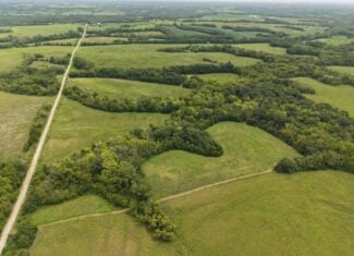 40 Acre m/l Hunting Tract near McFall, MO