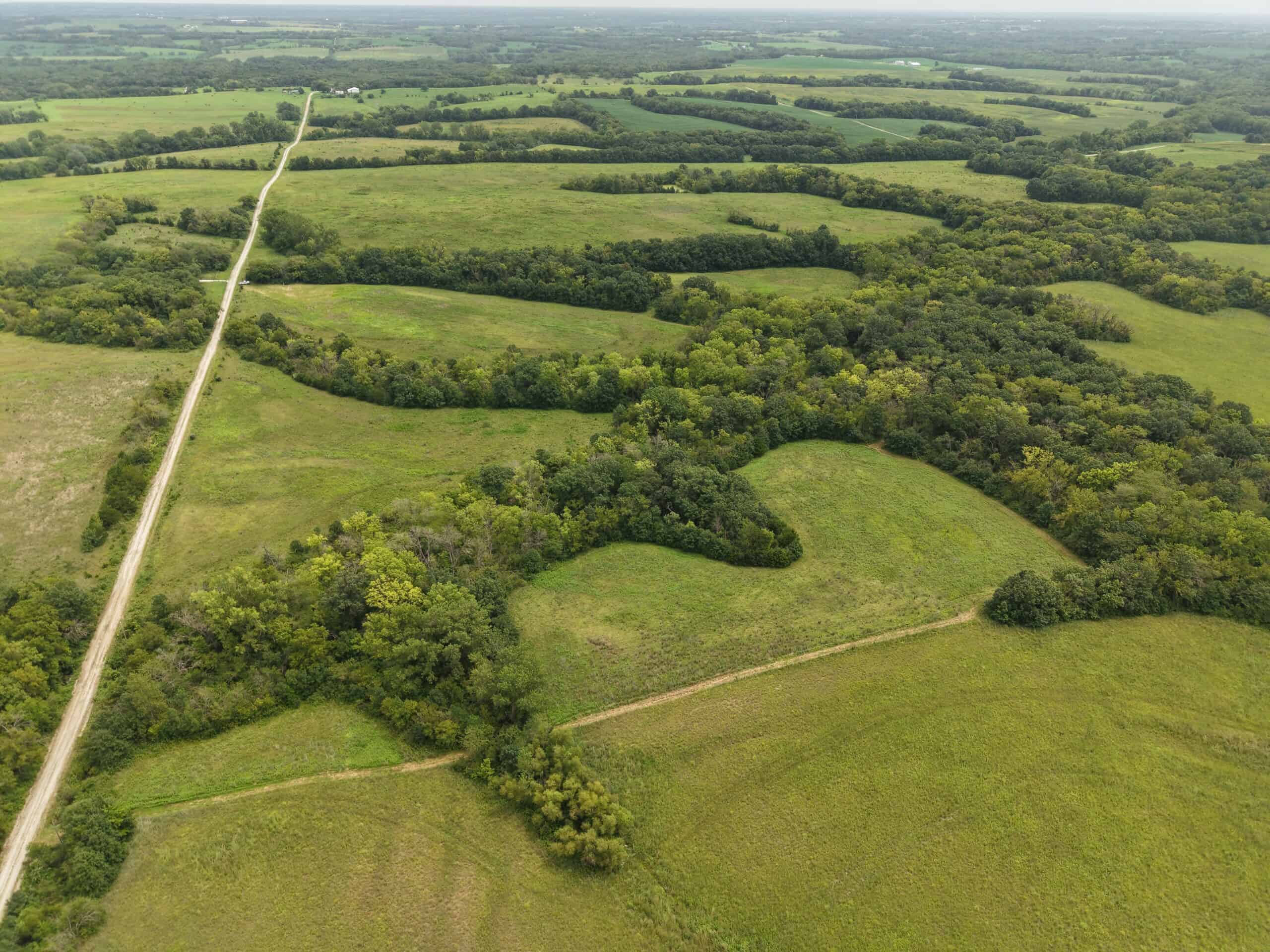40 Acre m/l Hunting Tract near McFall, MO