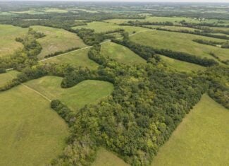40 Acre m/l Hunting Tract near McFall, MO